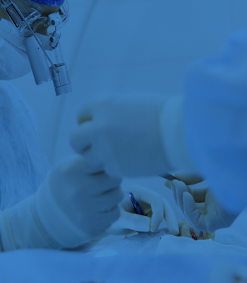 포인트01이미지_small